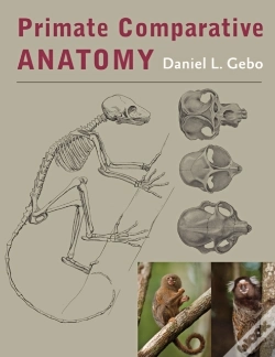 Capa do artigo Primate Comparative Anatomy