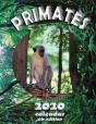 Primates 2020 Calendar (Uk Edition) - Preview