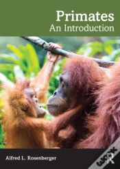 Capa do artigo Primates