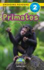 Primates - Preview