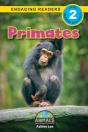 Primates - Preview