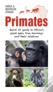 Capa do artigo Primates