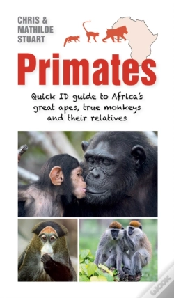 Capa do artigo Primates