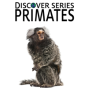 Primates - Preview