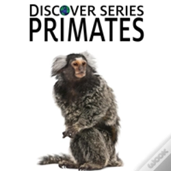 Capa do artigo Primates