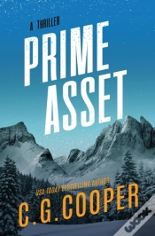 Capa do artigo Prime Asset