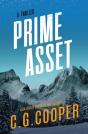 Prime Asset - Preview