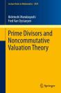 Prime Divisors And Noncommutative Valuation Theory - Preview