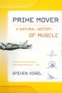 Prime Mover - Preview