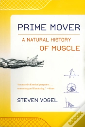 Capa do artigo Prime Mover