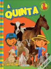 Primeira Descoberta - A Quinta