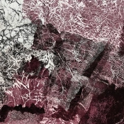 Capa do artigo Primitive - CD