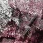 Primitive - CD - Preview