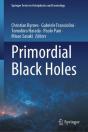 Primordial Black Holes - Preview