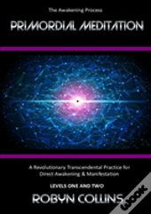 Primordial Meditation
