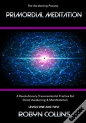 Capa do artigo Primordial Meditation