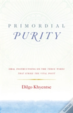 Capa do artigo Primordial Purity