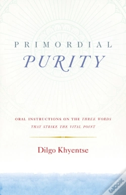 Capa do artigo Primordial Purity