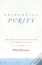 Capa do artigo Primordial Purity