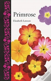 Capa do artigo Primrose