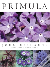 Capa do artigo Primula