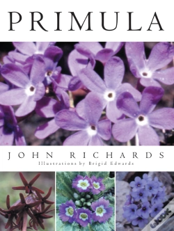 Capa do artigo Primula
