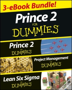Capa do artigo Prince 2 For Dummies Three E-Book Bundle: Prince 2 For Dummies, Project Management For Dummies & Lean Six Sigma For Dummies