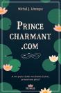 Prince-Charmant.Com - Preview