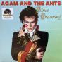 Prince Charming - Vinil - Preview