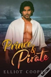 Capa do artigo Prince & Pirate