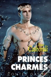 Capa do artigo Princes Charmés