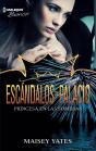 Princesa En Las Sombras - Preview