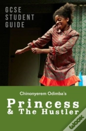 Capa do artigo Princess & The Hustler: The Gcse Study Guide