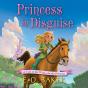 Princess In Disguise - Preview