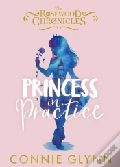 Capa do artigo Princess In Practice