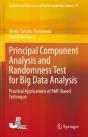 Principal Component Analysis And Randomness Test For Big Data Analysis - Preview
