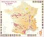 Principaux Cépages Des Vignobles De France - Preview