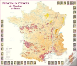 Capa do artigo Principaux Cépages Des Vignobles De France