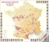 Capa do artigo Principaux Cépages Des Vignobles De France