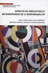 Principe De Précaution Et Métamorphoses De La Responsabilité