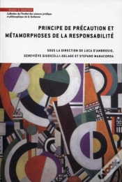 Capa do artigo Principe De Précaution Et Métamorphoses De La Responsabilité