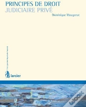Capa do artigo Principes De Droit Judiciaire Privé