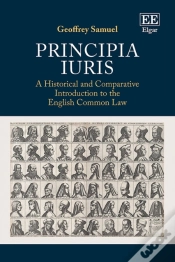 Capa do artigo Principia Iuris