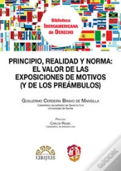Capa do artigo Principio, Realidad Y Norma: El Valor De Las Exposiciones De Motivos