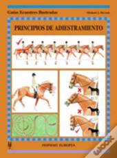 Principios De Adiestramiento
