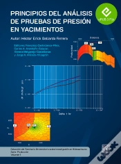 Capa do artigo Principios De Análisis De Pruebas De Yacimientos