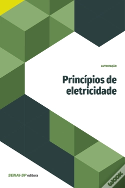 Capa do artigo Princípios De Eletricidade