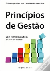 Capa do artigo Princípios de Gestão