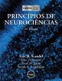 Princípios de Neurociências - Preview