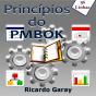 Princípios Do Pmbok - Preview